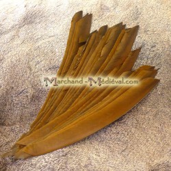 Whole Natural Feather