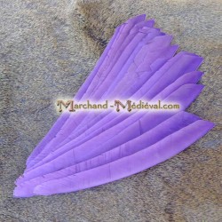 Whole Natural Feather