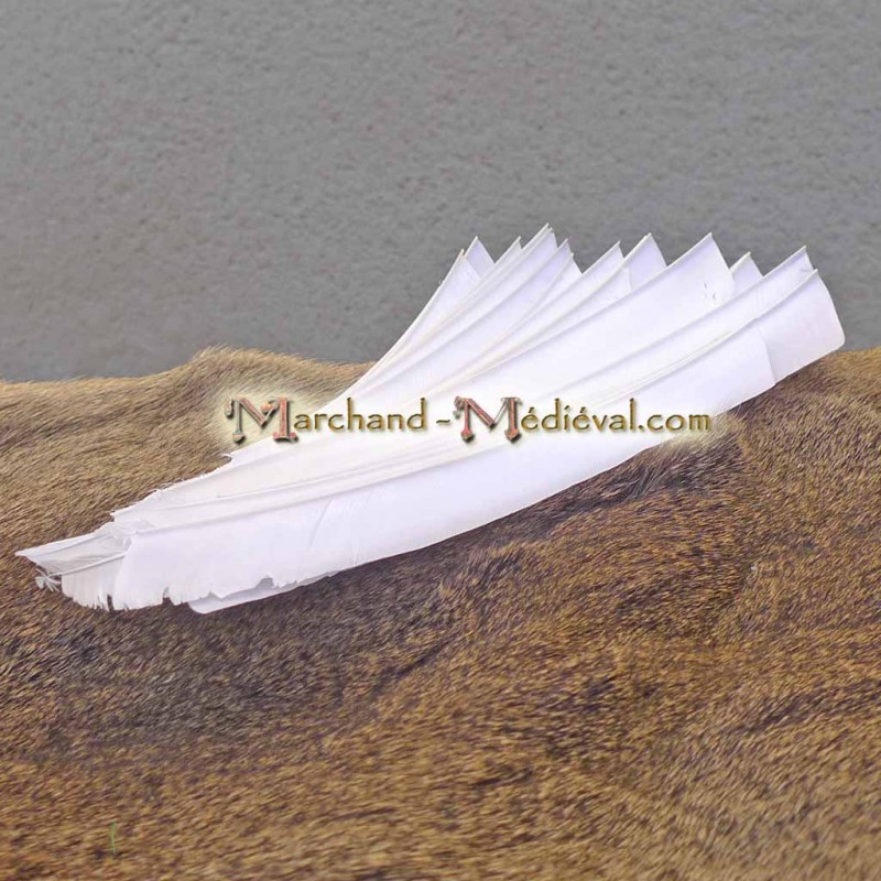 Plumes De Flèche En Plume De Dinde - Lot De 50, 11 Pouces, Forme Bouclier, Pour Ailettes Gauches - DIY Tir à L'Arc Et Décoration