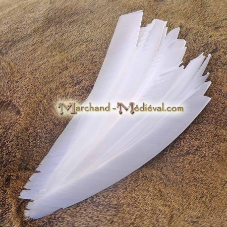 Whole Natural Feather