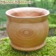 Ash wooden pot