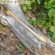 Large pot spoon birch wood