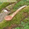 Cuillère médiévale en bois : Frêne
